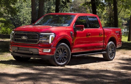 ford lariat rot